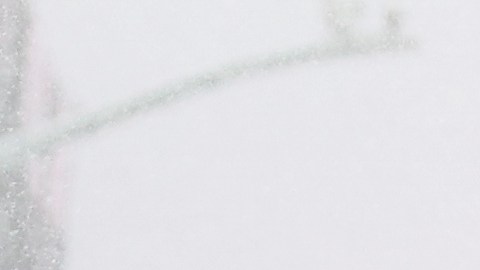 Tormenta invernal NYC