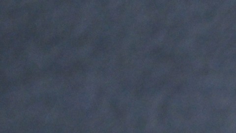 Olivia Wilde compró esta casa en 2023 y ahora considera mudarse de Los Ángeles.