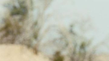 'One Battle After Another' de Paul Thomas Anderson es una de las favoritas para obtener varias nominaciones.