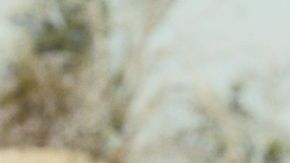 'One Battle After Another' de Paul Thomas Anderson es una de las favoritas para obtener varias nominaciones.