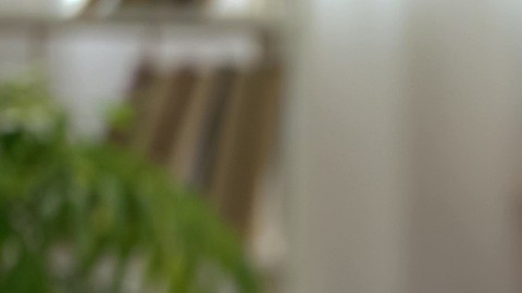 Para 2026, será el último en el que se aplican diferentes planes plurianuales de aumento de salario mínimos en estados clave.