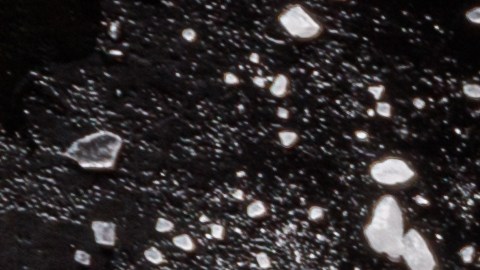 La nueva pirámide alimentaria federal da un giro de 180 grados al colocar la carne roja y la leche entera como pilares esenciales para la función metabólica.