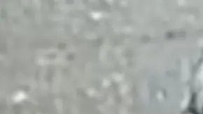 Todavía no está claro qué causó el brutal ataque por parte de los dos jóvenes.