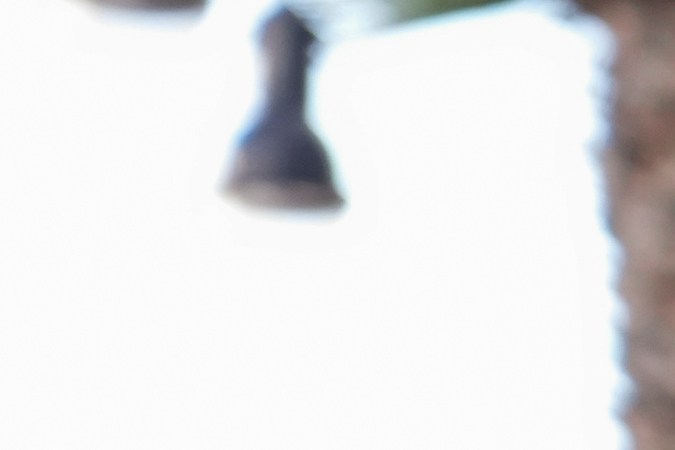 La actriz estuvo acompañada de sus padres.