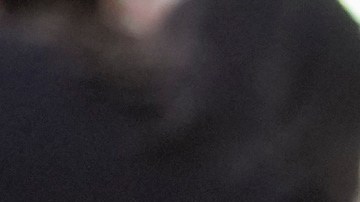 Rachel McAdams recibió su estrella en el paseo de la fama poco antes de estrenar 'Send Help'.