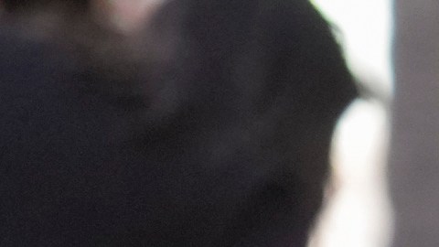 Rachel McAdams recibió su estrella en el paseo de la fama poco antes de estrenar 'Send Help'.