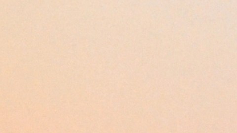 Rafael Araneda, presentador chileno de televisión.