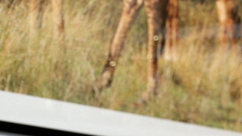 Raúl de Molina, presentador del programa El Gordo y la Flaca.