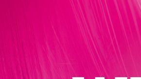 Nuevos integrantes permanentes: sabores frutales, misma energía y opciones sin azúcar para cada momento del día.