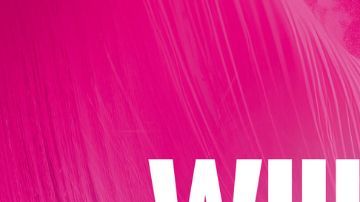 Nuevos integrantes permanentes: sabores frutales, misma energía y opciones sin azúcar para cada momento del día.