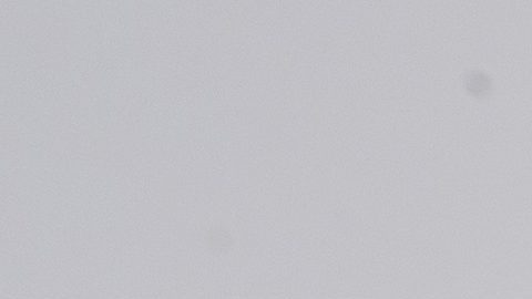 Sam Beal del equipo de fútbol americano de la NFL New York Giants.