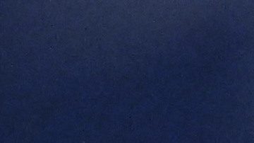 El entrenador en jefe de los Buffalo Bills, Sean McDermott.