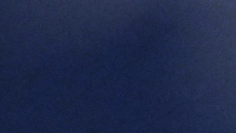 El entrenador en jefe de los Buffalo Bills, Sean McDermott.