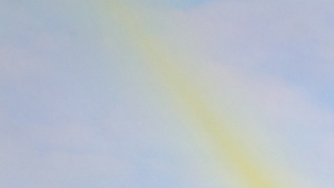 Sergio Mayer, actor mexicano, habló del caso del cantante español Julio Iglesias.