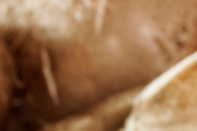 El Shiitake no solo eleva tus recetas con su perfil umami; gracias a la eritadenina, ayuda a mantener el colesterol LDL bajo control.