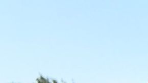 Desde el exótico Matcha de Chocolate de Dubái hasta la nostalgia del Algodón de Azúcar, las bebidas más virales del momento no están en el menú.