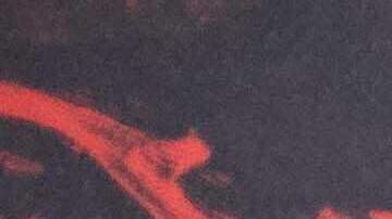 La última temporada de Stranger Things se estrenó en diciembre de 2025.