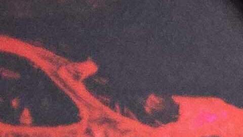 La última temporada de Stranger Things se estrenó en diciembre de 2025.