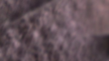 No consumas estos tamales si los tienes en casa. Aunque parezcan estar en buen estado, podrían contener la bacteria Listeria, que es invisible al ojo humano.