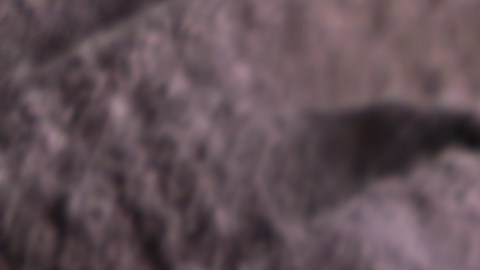 No consumas estos tamales si los tienes en casa. Aunque parezcan estar en buen estado, podrían contener la bacteria Listeria, que es invisible al ojo humano.