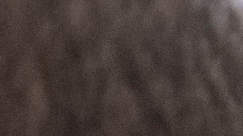 Tekashi 6ix9ine violó los términos de su libertad condicional.