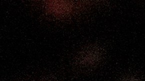 Timothée Chalamet comenzó la temporada de premios ganando.