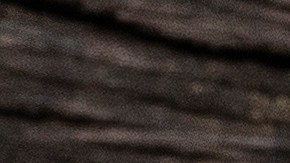 La Uncaria tomentosa evoluciona: de la infusión tradicional a suplementos de química verde estandarizados que potencian la inmunidad y reducen la inflamación articular