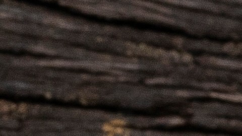 La Uncaria tomentosa evoluciona: de la infusión tradicional a suplementos de química verde estandarizados que potencian la inmunidad y reducen la inflamación articular