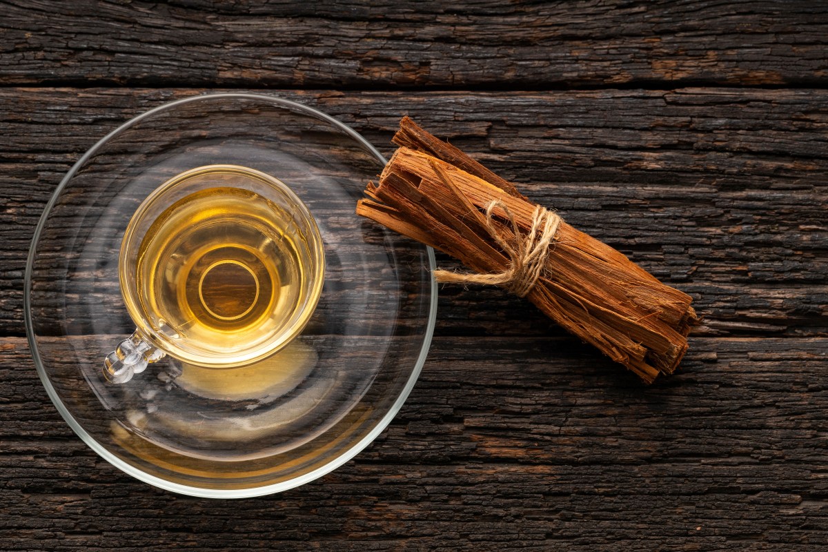 El secreto de la Uña de Gato: logran producir compuestos antitumorales con biotecnología