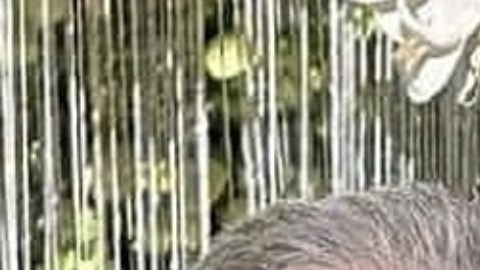 Vicente Fernández Jr. y su esposa Mariana González.