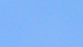 De la alta cocina congelada al empoderamiento femenino en el campo; así comeremos este año.