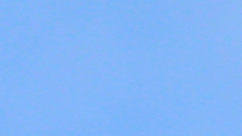 De la alta cocina congelada al empoderamiento femenino en el campo; así comeremos este año.