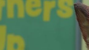 'Zootopia 2' estrenó el pasado 26 de diciembre.