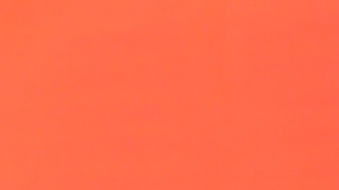 Adamari reveló que al perder esa fuente de ingresos comenzaron las incertidumbres y cuestionamientos sobre su futuro económico.