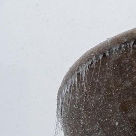 Los funcionarios dijeron que las pesquisas están en curso en los seis casos y que el médico forense determinará las causas oficiales de sus muertes.