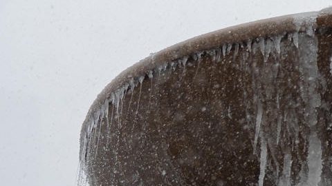 Los funcionarios dijeron que las pesquisas están en curso en los seis casos y que el médico forense determinará las causas oficiales de sus muertes.