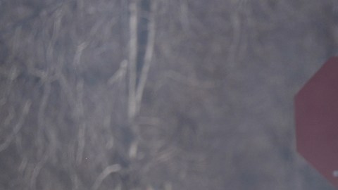 ¿Qué se sabe del agente que mató a un hombre durante una redada en Minneapolis?