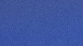 Pateador de New England Patriots, Andy Borregales.