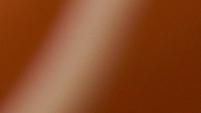 El equilibrio perfecto entre nutrición y sabor: un grano meloso que abraza la esencia del azafrán y el pollo dorado.