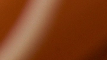 El equilibrio perfecto entre nutrición y sabor: un grano meloso que abraza la esencia del azafrán y el pollo dorado.