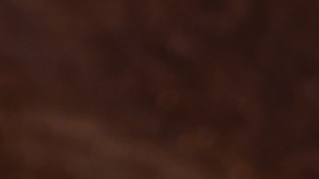 Ingeniería nutricional en tu plato.La pareja perfecta que ofrece proteína de alta calidad y energía sostenida.