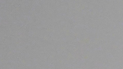 La acción legal contra Bad Bunny y su disquera fue presentada por Tainaly Y. Serrano Rivera.