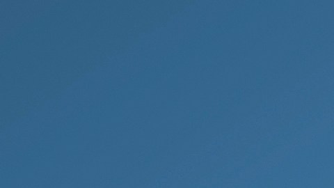 boletos-volar-avion-mejores-dias