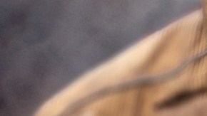 Aumentan los reportes por bocas de incendio bloqueadas en Nueva York: el FDNY advierte riesgo para vidas