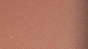 Brigitte Bardot falleció el 28 de diciembre a los 91 años.