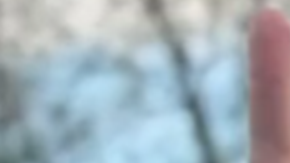 ICE detuvo a un exalcalde y perseguido político venezolano en Cincinnati