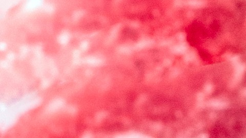 Antes de llevar esa carne a casa, observa los cristales de hielo y el empaque. Un envase inflado es señal de bacterias activas.