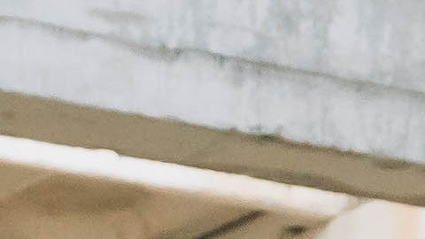 El fabricante señala que esta unidad puede funcionar como residencia principal, casa de huéspedes en el jardín, oficina móvil o incluso como cabaña de vacaciones.