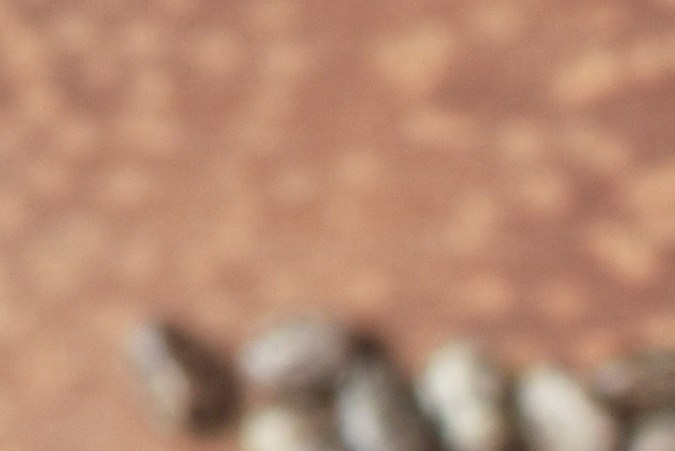 Pequeñas pero poderosas: aunque las semillas de chía son una joya nutricional por su aporte de Omega-3 y fibra, su consumo crudo exige los más altos estándares de inocuidad para evitar riesgos bacteriológicos.