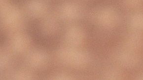 Pequeñas pero poderosas: aunque las semillas de chía son una joya nutricional por su aporte de Omega-3 y fibra, su consumo crudo exige los más altos estándares de inocuidad para evitar riesgos bacteriológicos.